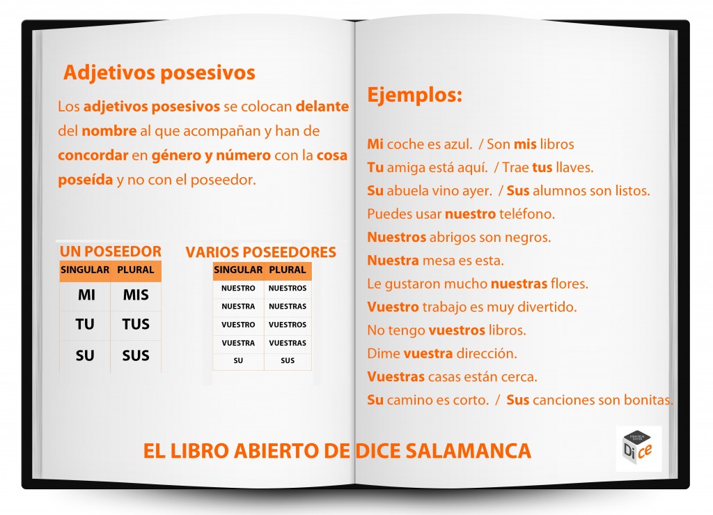 Libro Abierto Adjetivos Posesivos Dice Salamanca