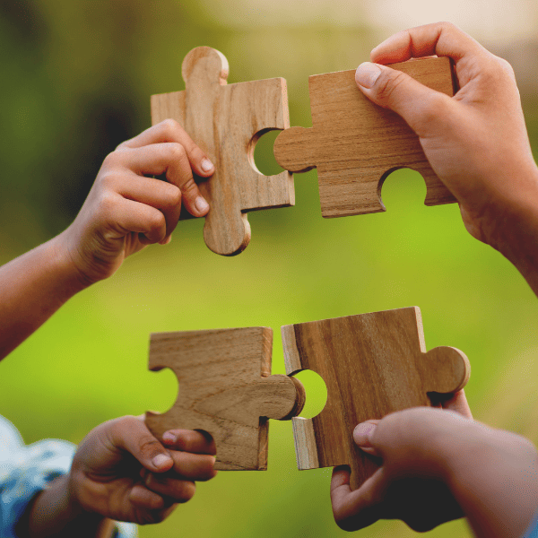 Programa para español diseñado